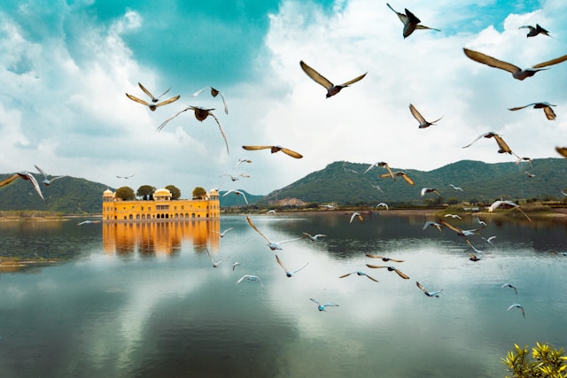 Jal Mahal located in the ceter of the lake with birds flying