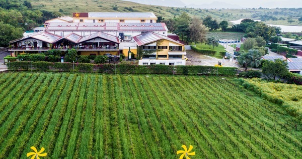 Building surrounded by lush green plantation for producing wine