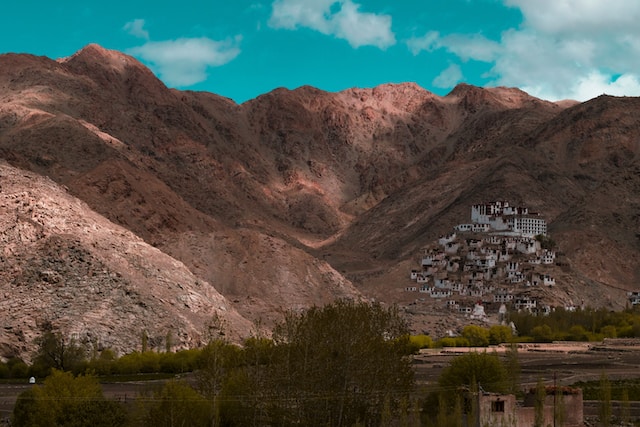 Monastery In Leh Town