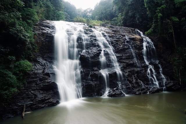 A serene waterfall flowing through a lush forest, surrounded by vibrant greenery and tall trees.