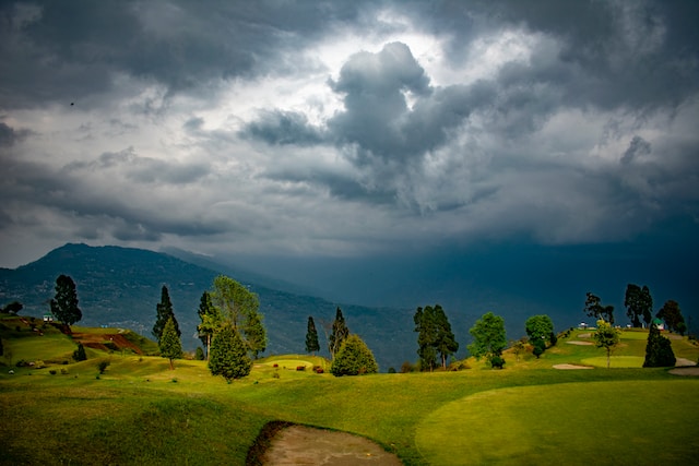 Stormy weather over a lush green field with trees and grass.