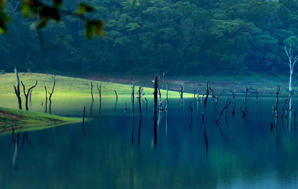 Scenic lake with lush green trees and grassy surroundings.