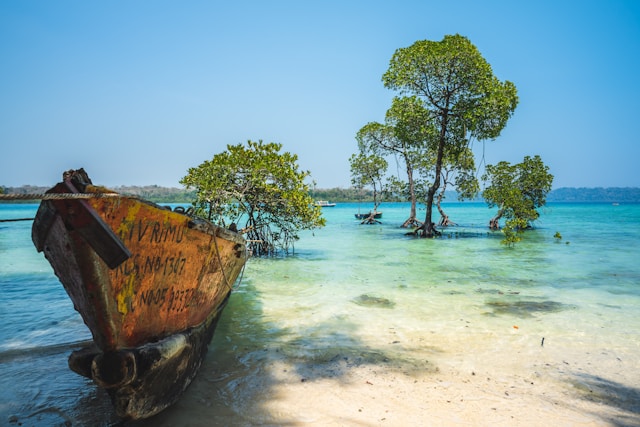 Vintage boat resting on tropical beach