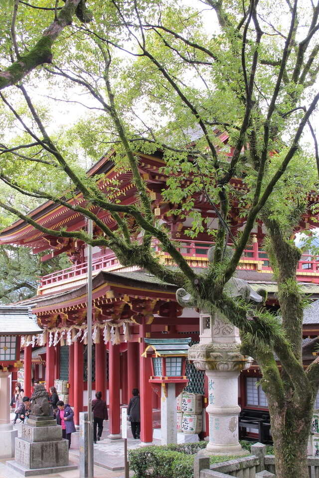 Red temple with tree in front, symbolizing peace and tranquility.