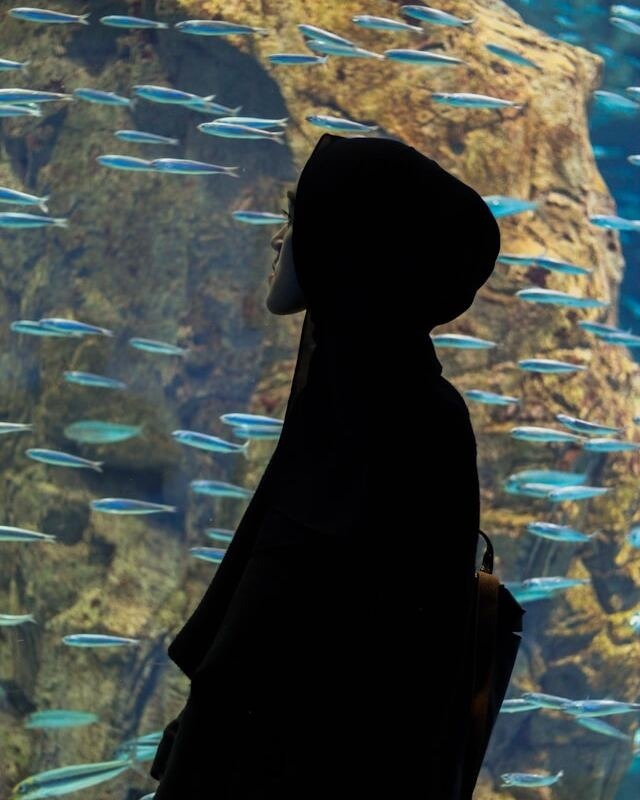 A woman in a black hoodie observing fish in an aquarium.