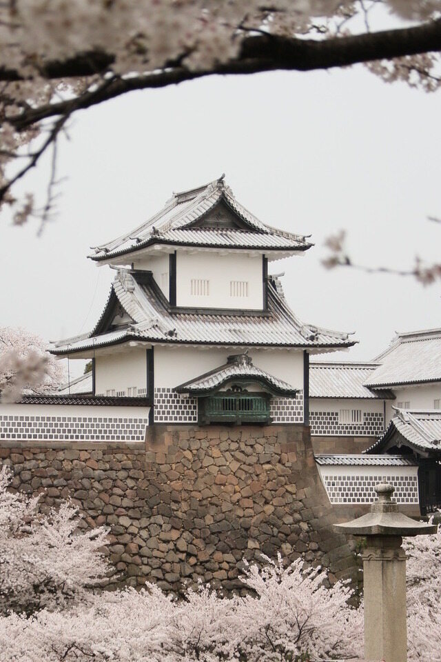 Stone castle with white walls surrounded by blooming cherry blossoms and traditional Japanese lanterns in the foreground.