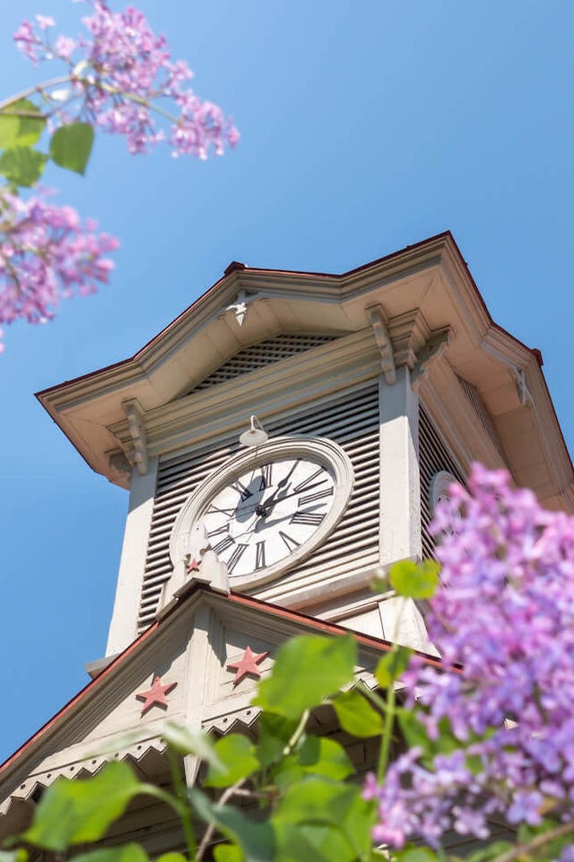 Clock tower with purple flowers in foreground.