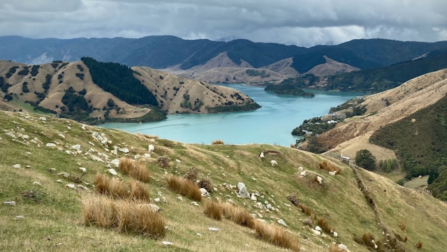 Scenic view of lake and mountains from hilltop.