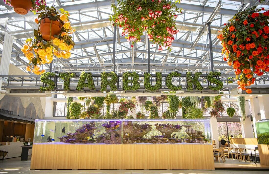 Starbucks' indoor garden: a serene oasis amidst the city. Lush greenery and vibrant flowers create a tranquil atmosphere.